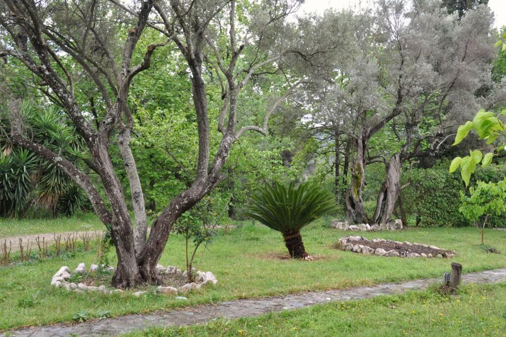 Villa Erietta Near Lefkas Center Apolpaina Exterior foto